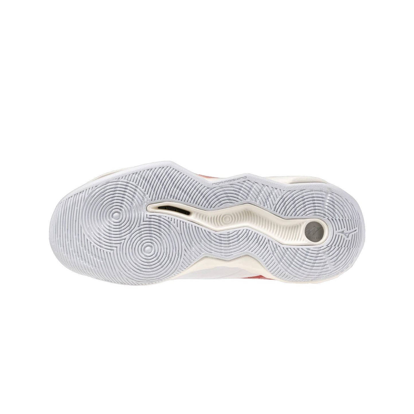 WAVE MOMENTUM PRO -  Mizuno Indoor